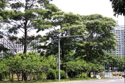 幼兒園設(shè)計(jì)